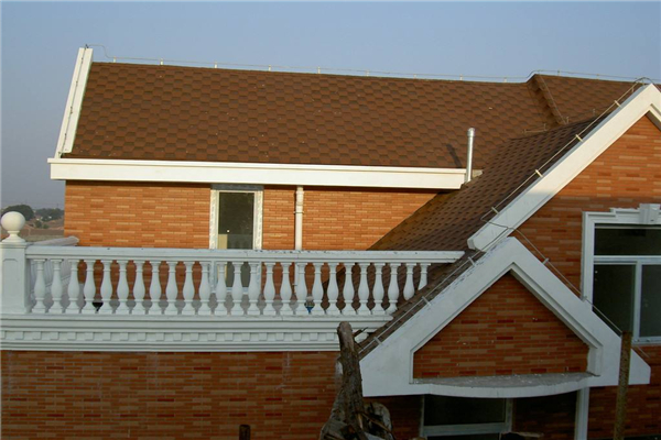 case of Mosaic roof