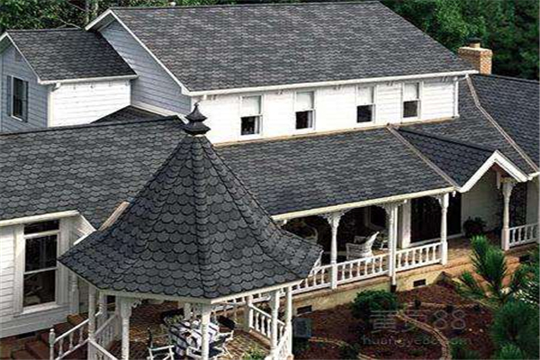 case of fish scale roof