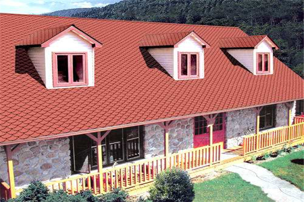 case of fish scale roof